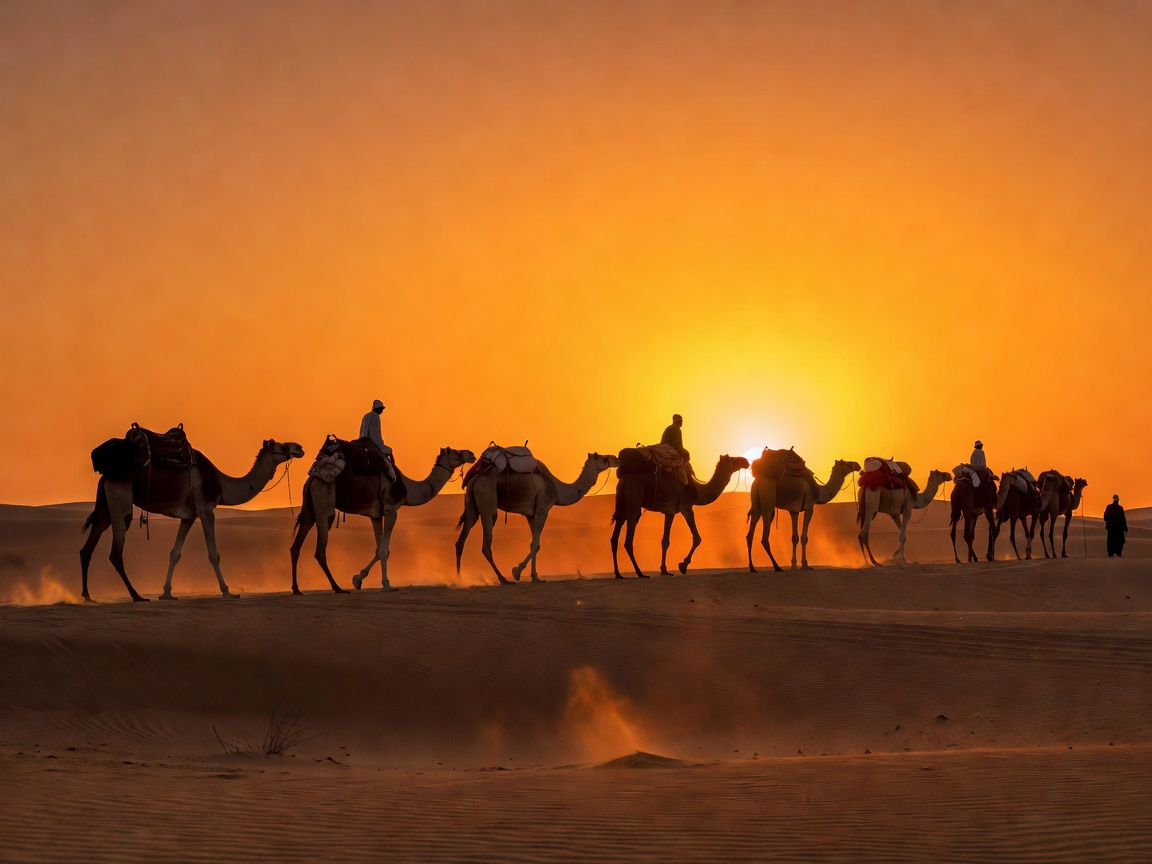 Camel caravan silhouetted against a glowing orange desert sunset