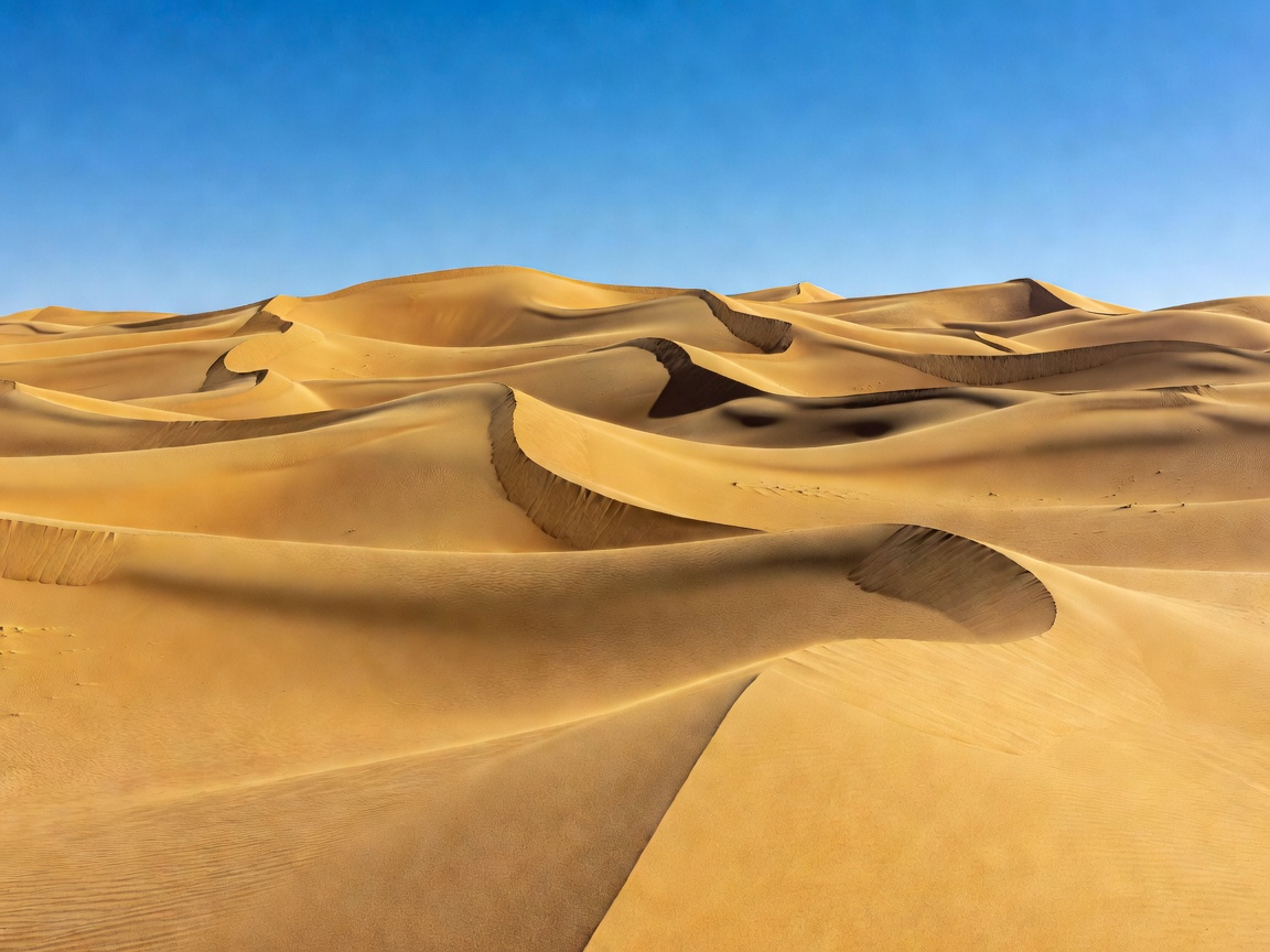 Golden desert dunes sculpted by wind under a clear blue sky